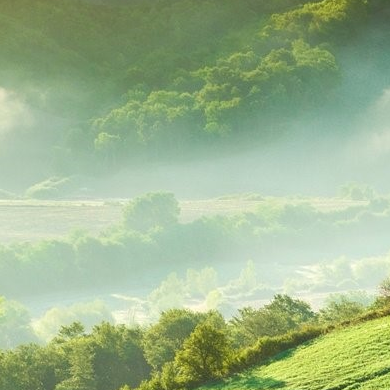 职位发布者头像