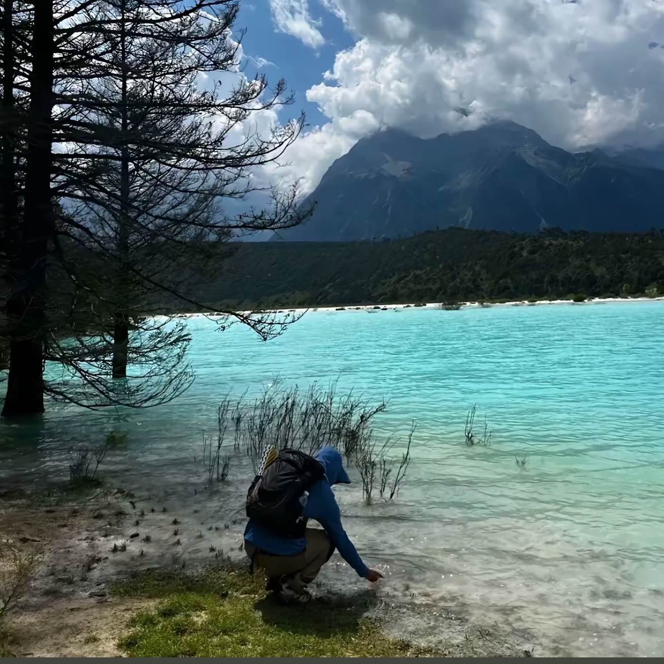 职位发布者头像