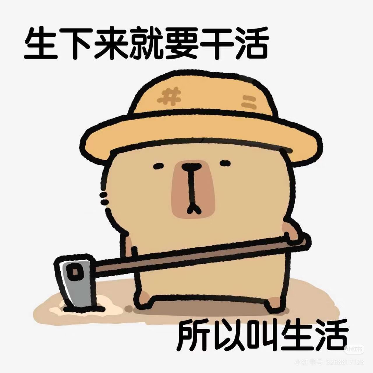 职位发布者头像