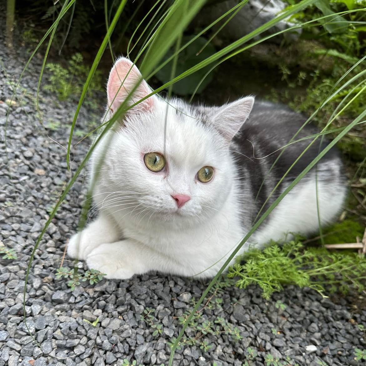 职位发布者头像