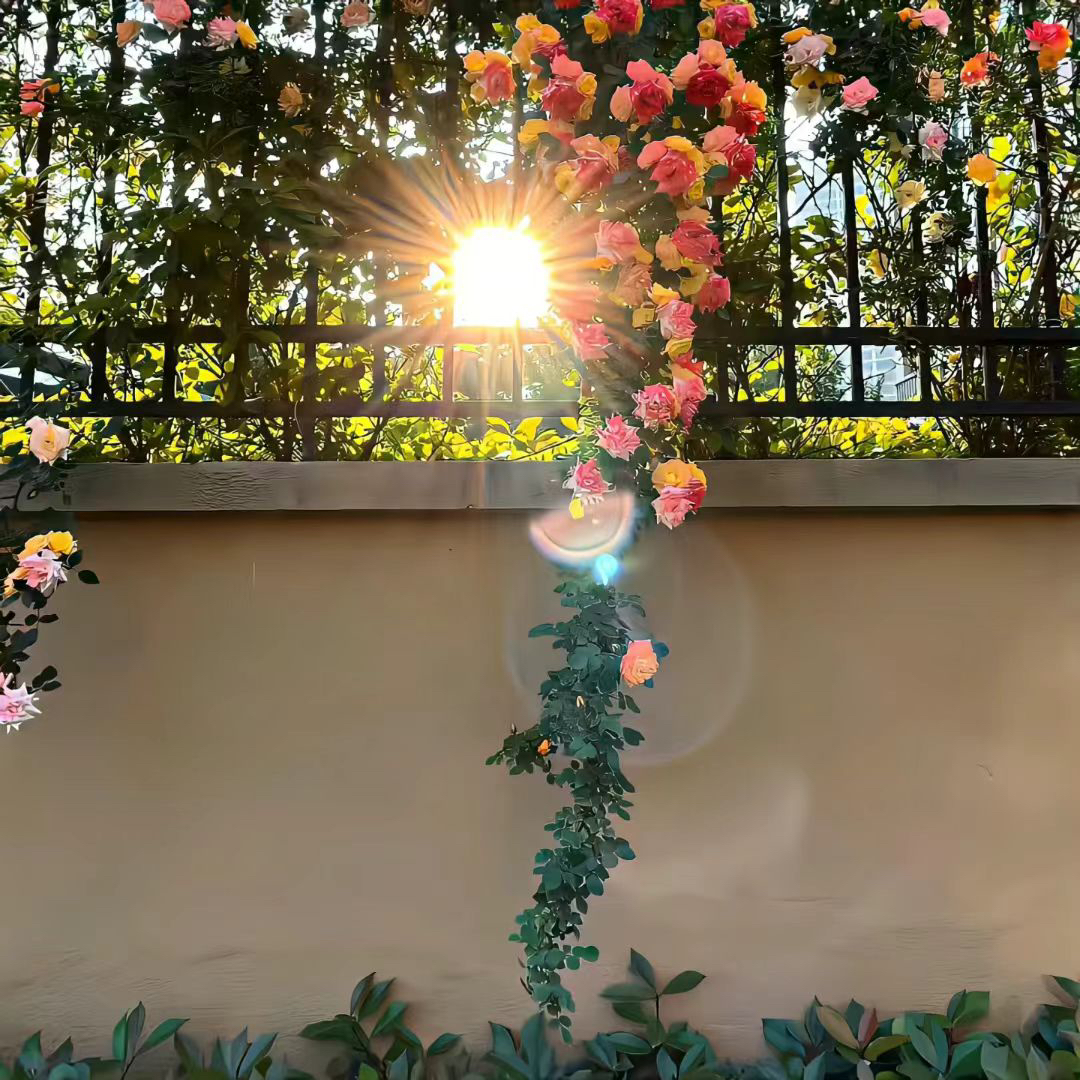 职位发布者头像