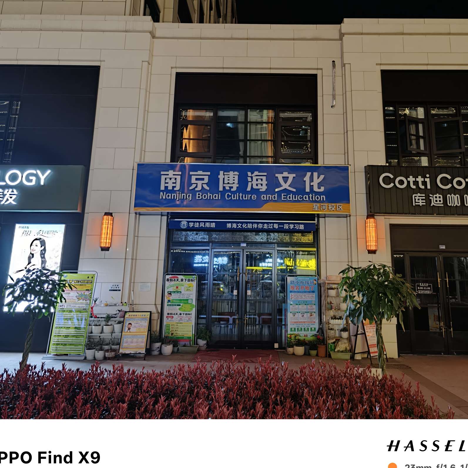 职位发布者头像