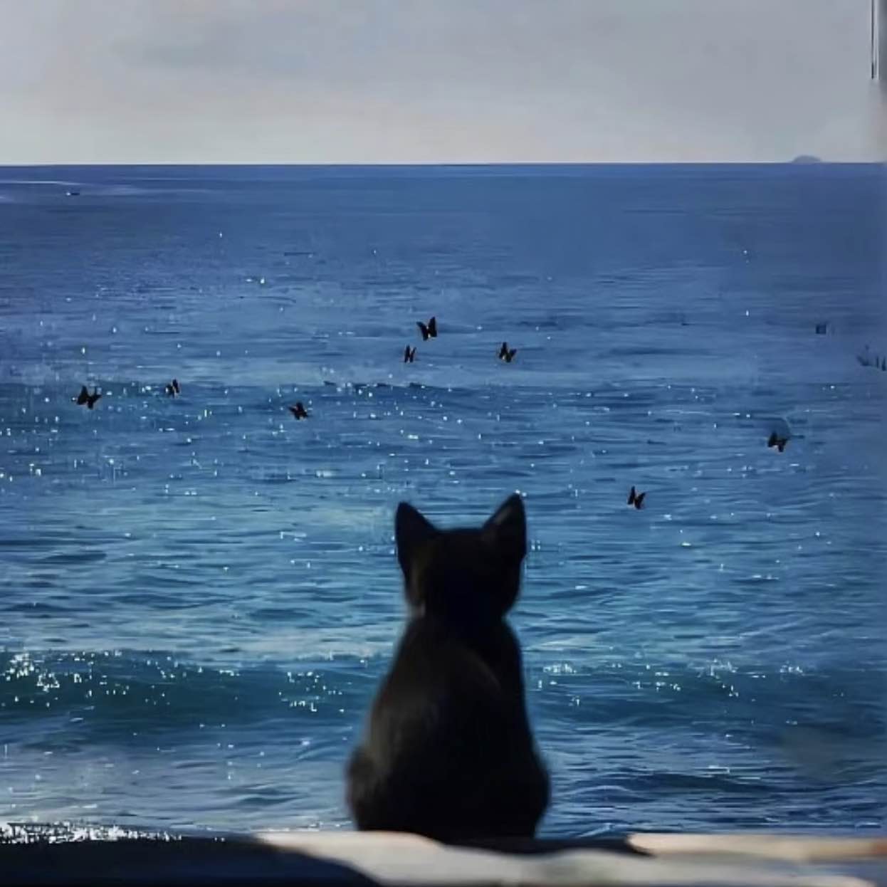 职位发布者头像