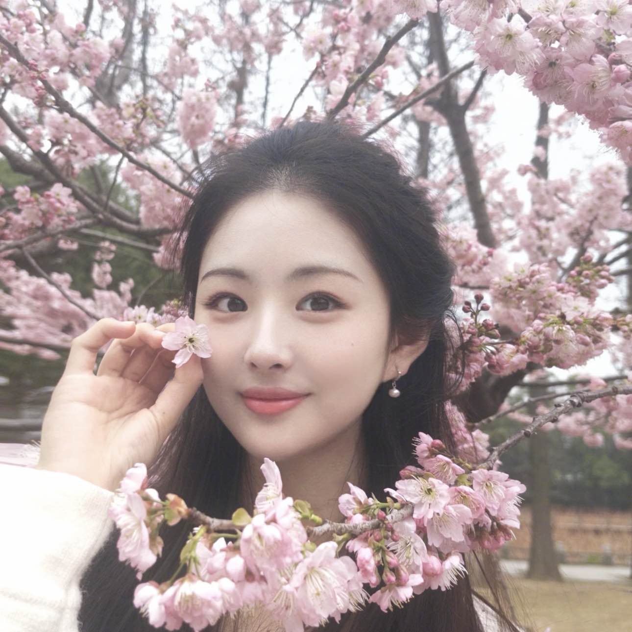 职位发布者头像