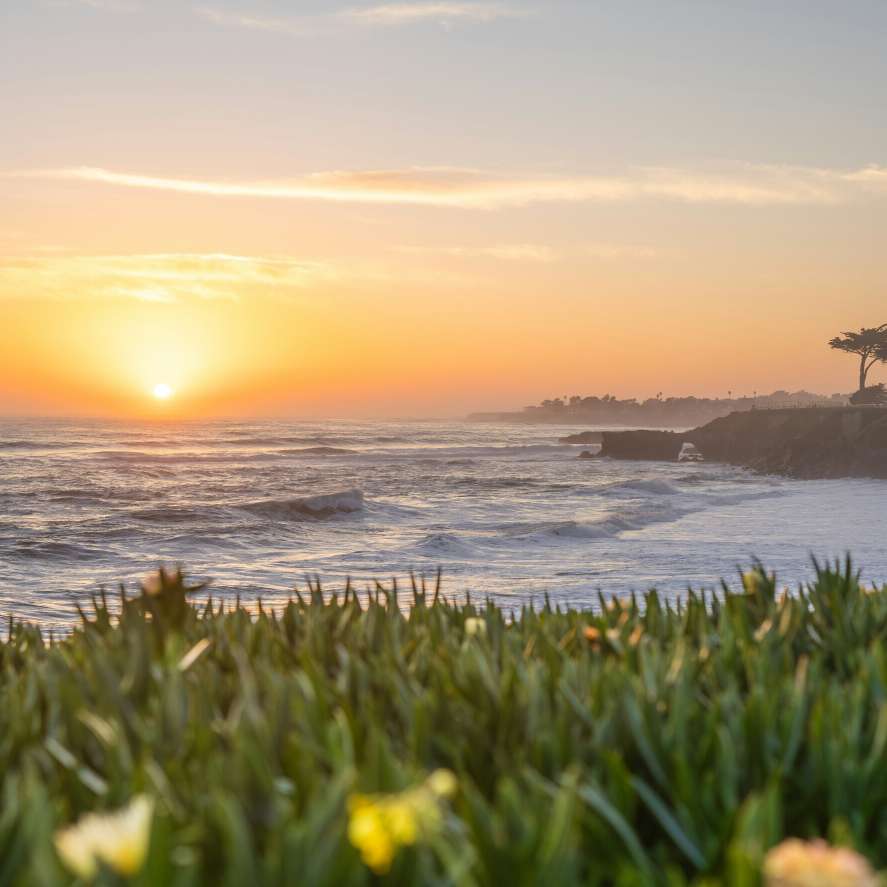 职位发布者头像