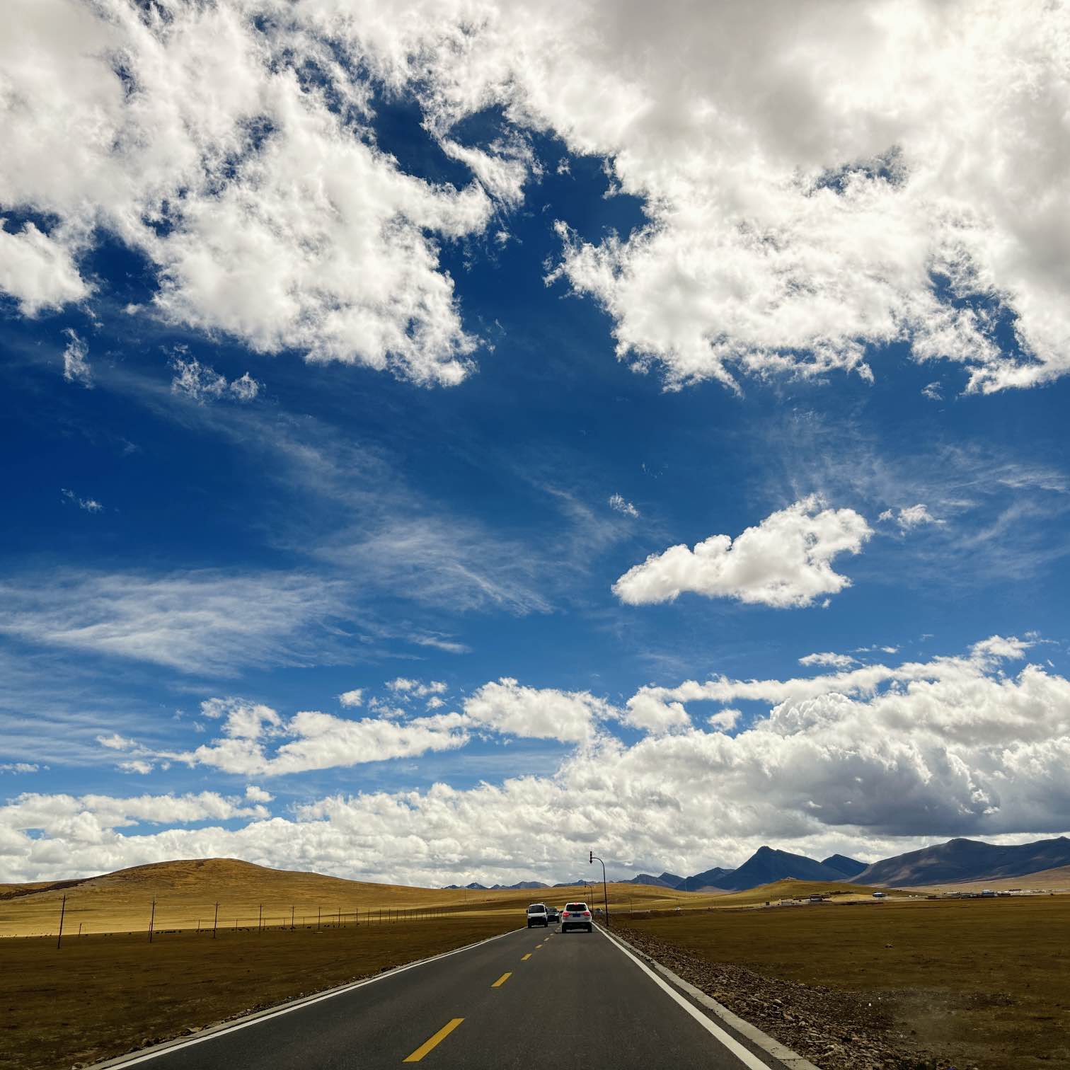 职位发布者头像