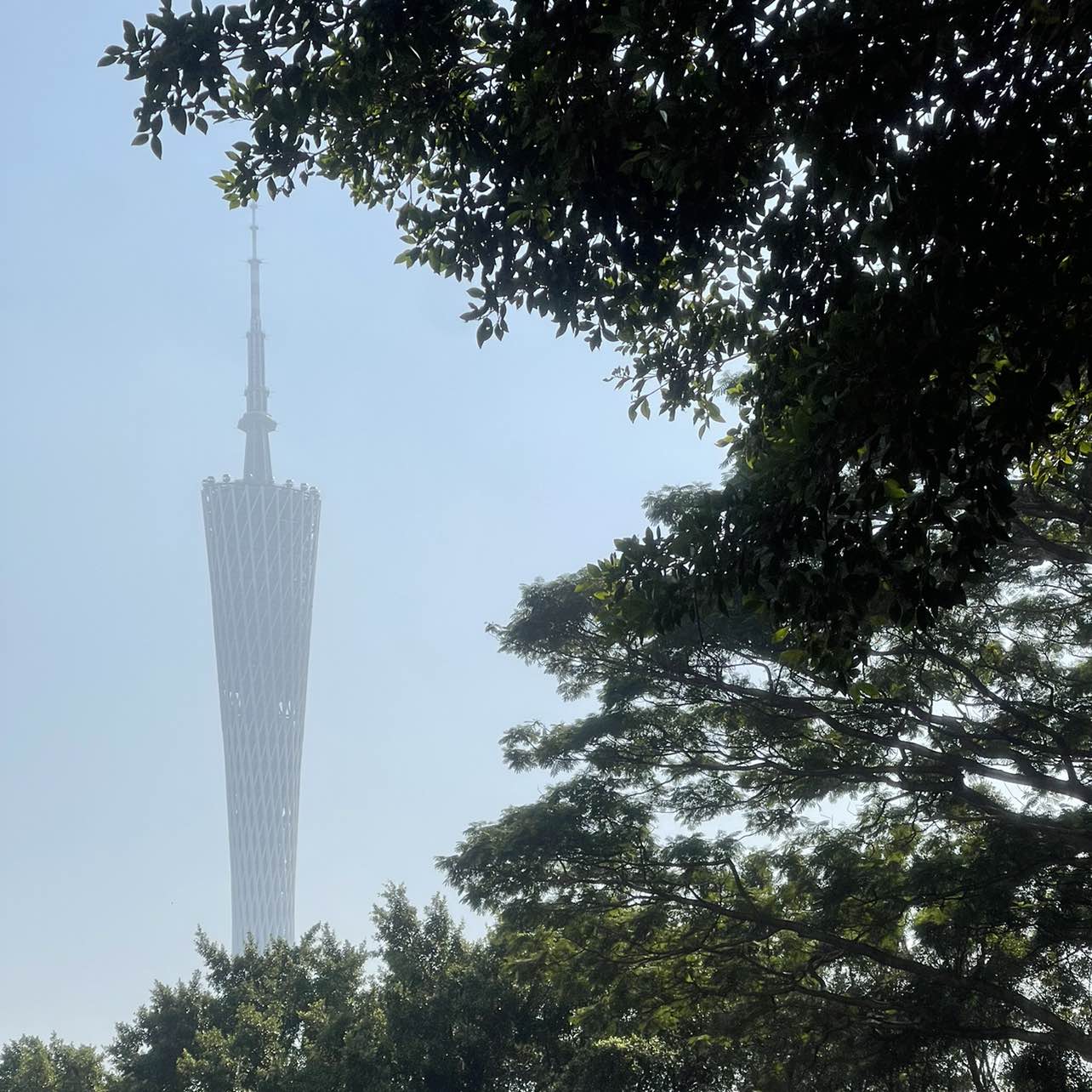 职位发布者头像