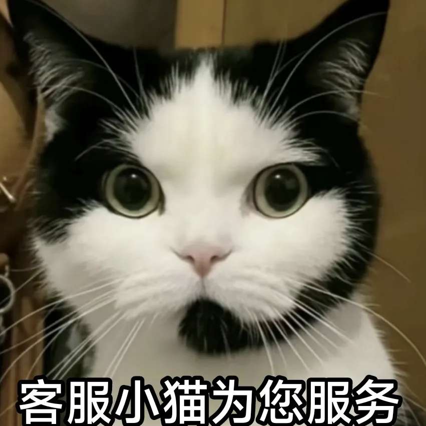 职位发布者头像