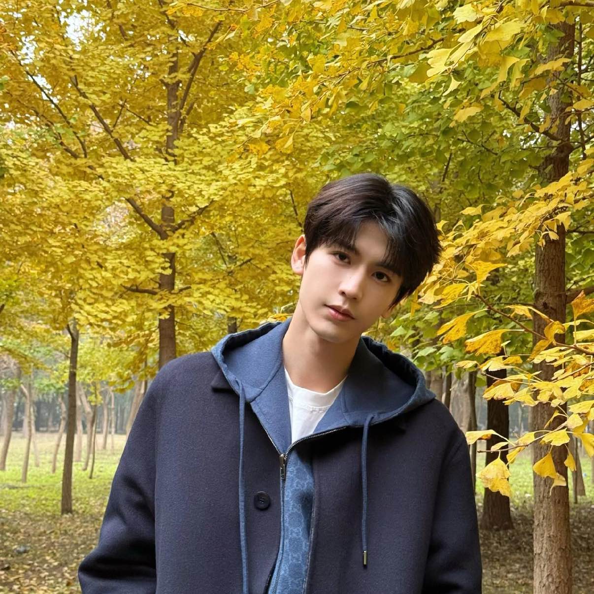 职位发布者头像