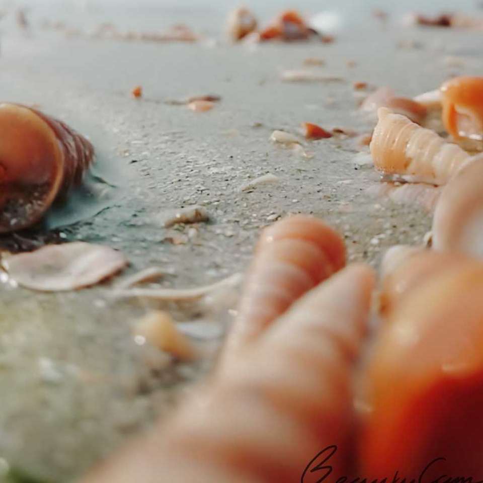 职位发布者头像