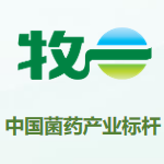 职位发布者头像