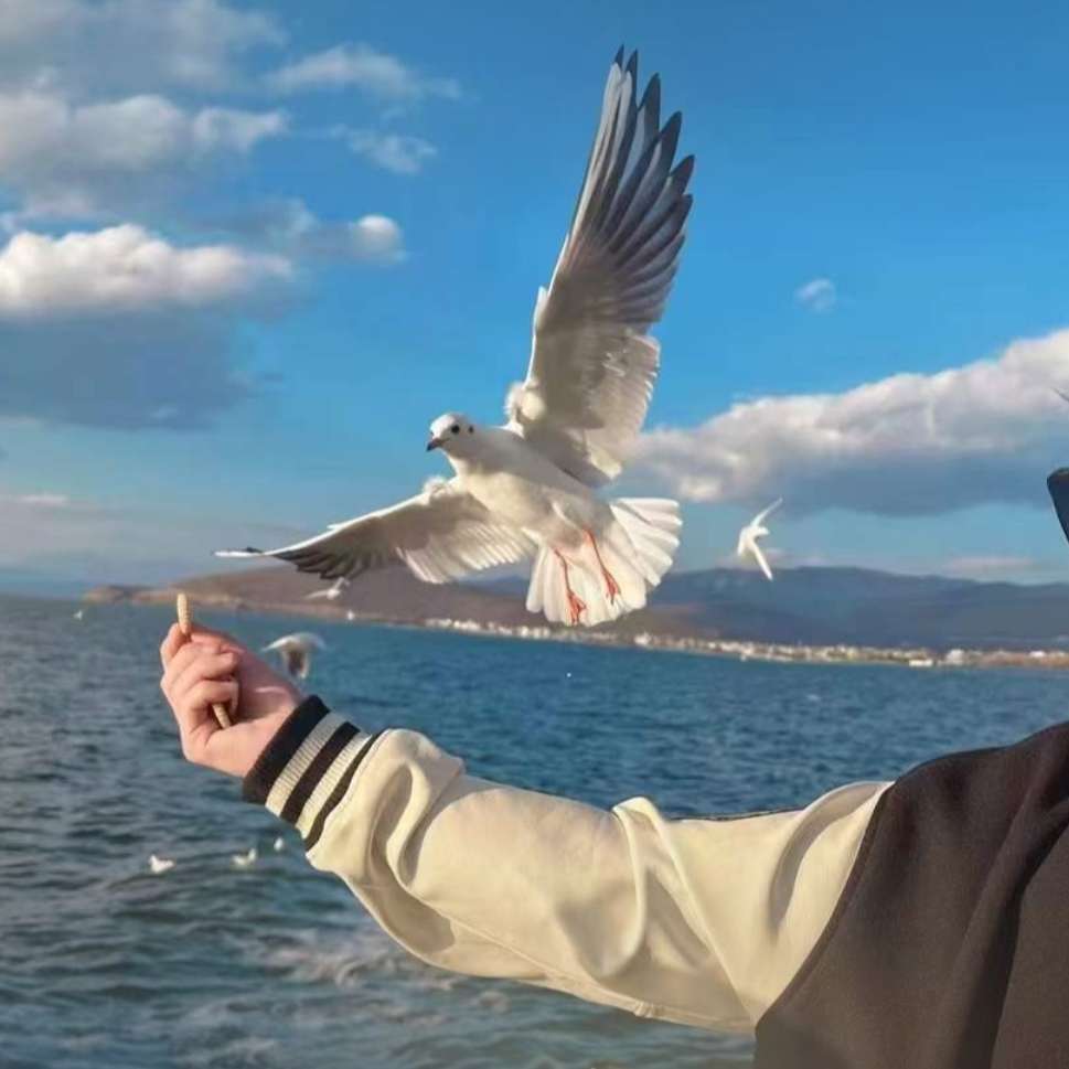 职位发布者头像