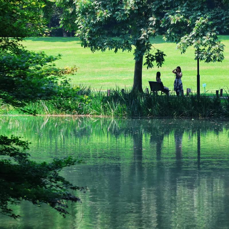 职位发布者头像