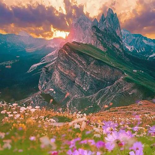 职位发布者头像