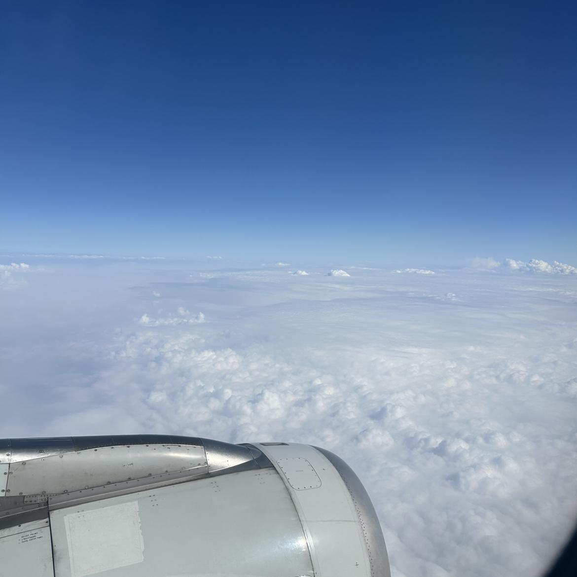 职位发布者头像