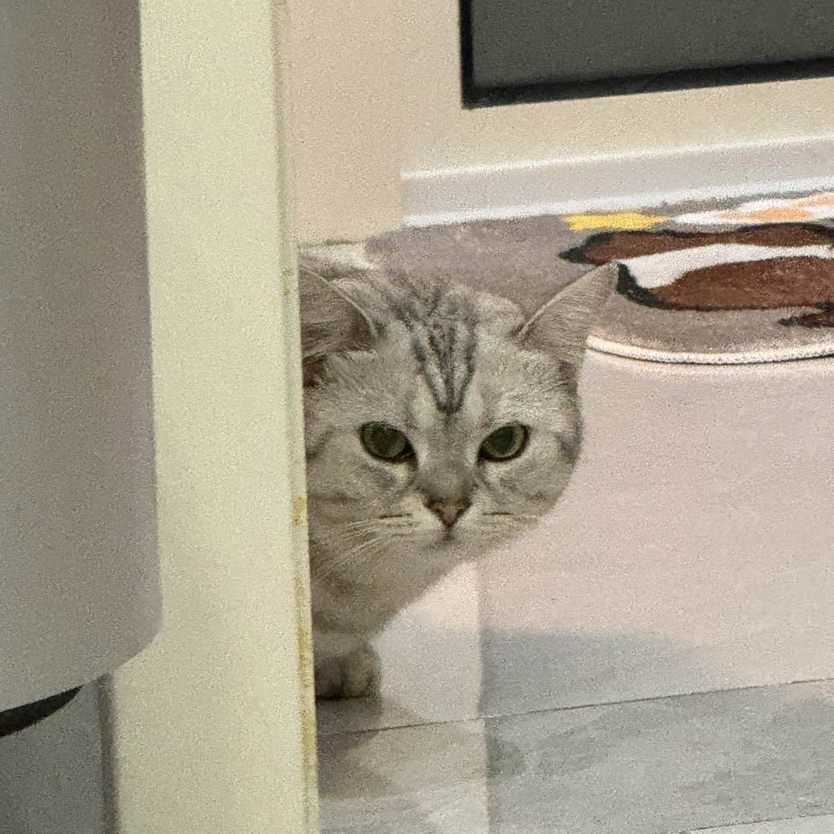 职位发布者头像