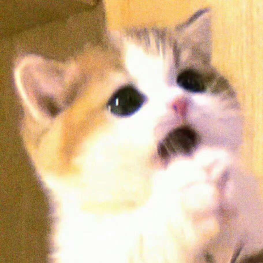 职位发布者头像