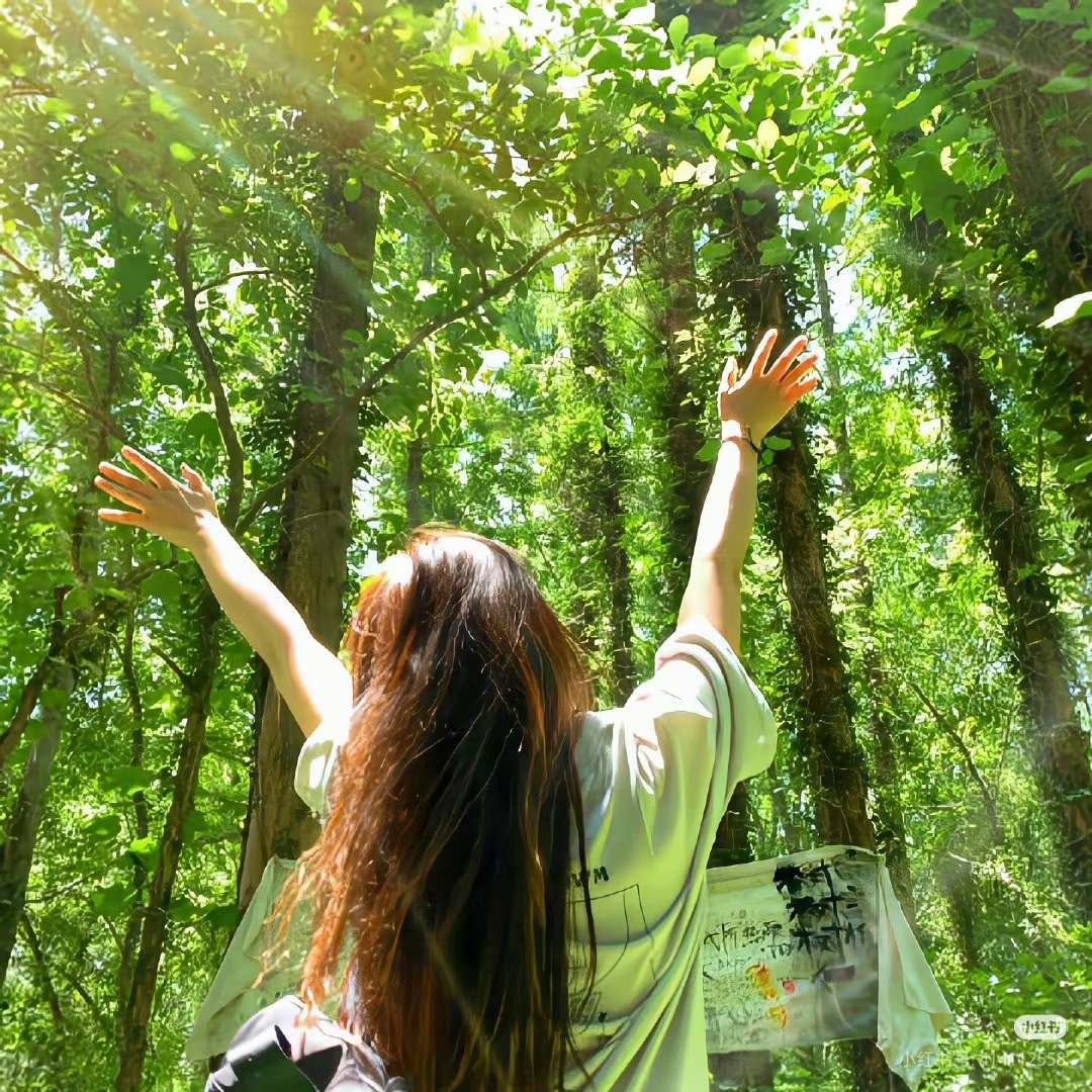 职位发布者头像