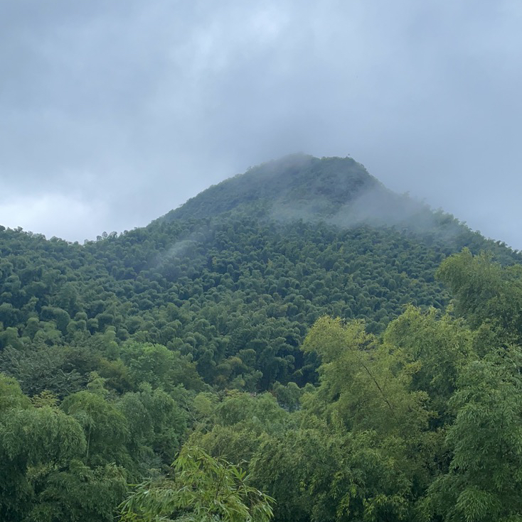 职位发布者头像