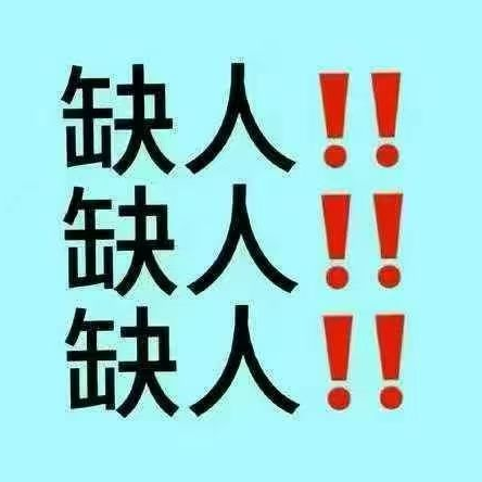 职位发布者头像