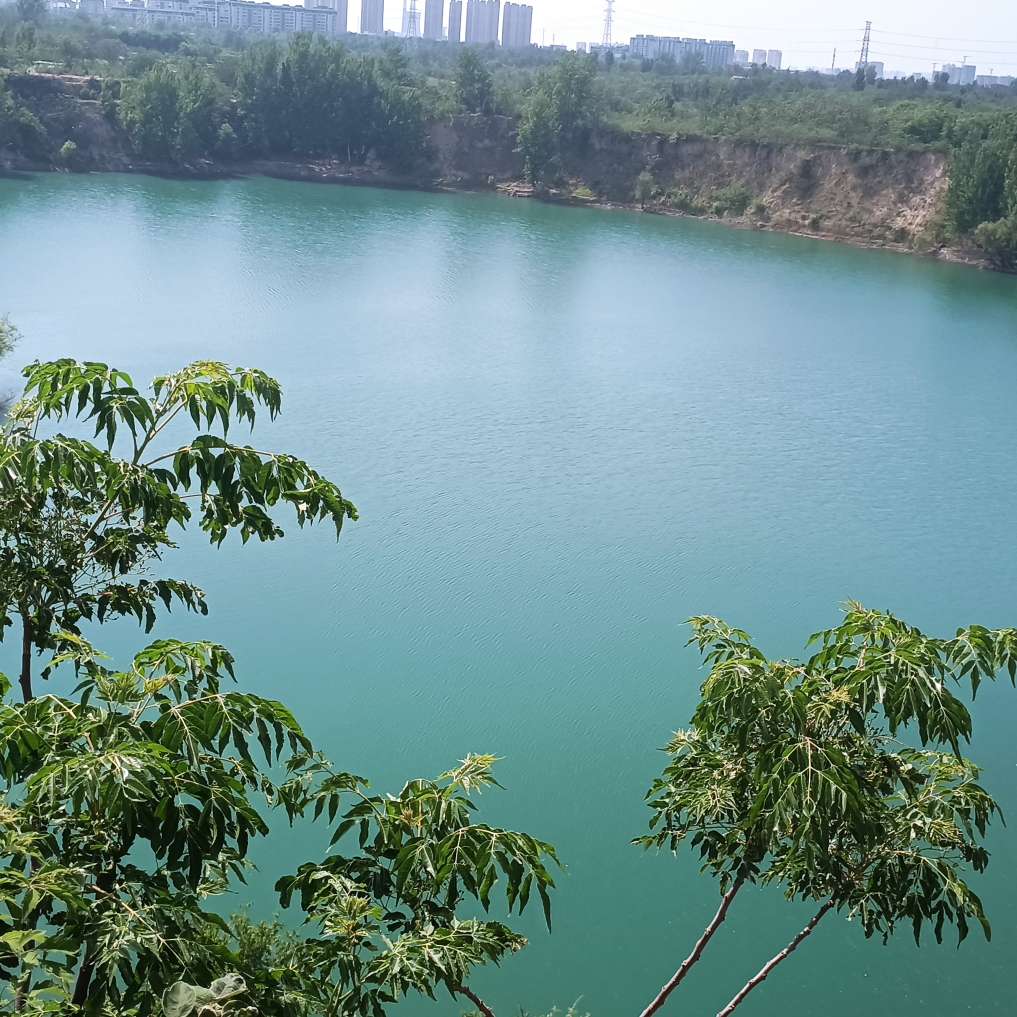 职位发布者头像