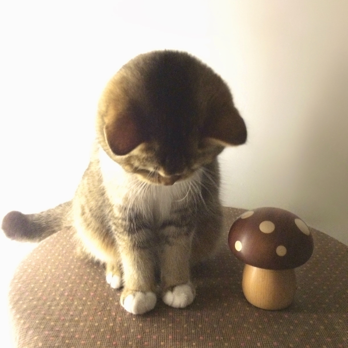 职位发布者头像