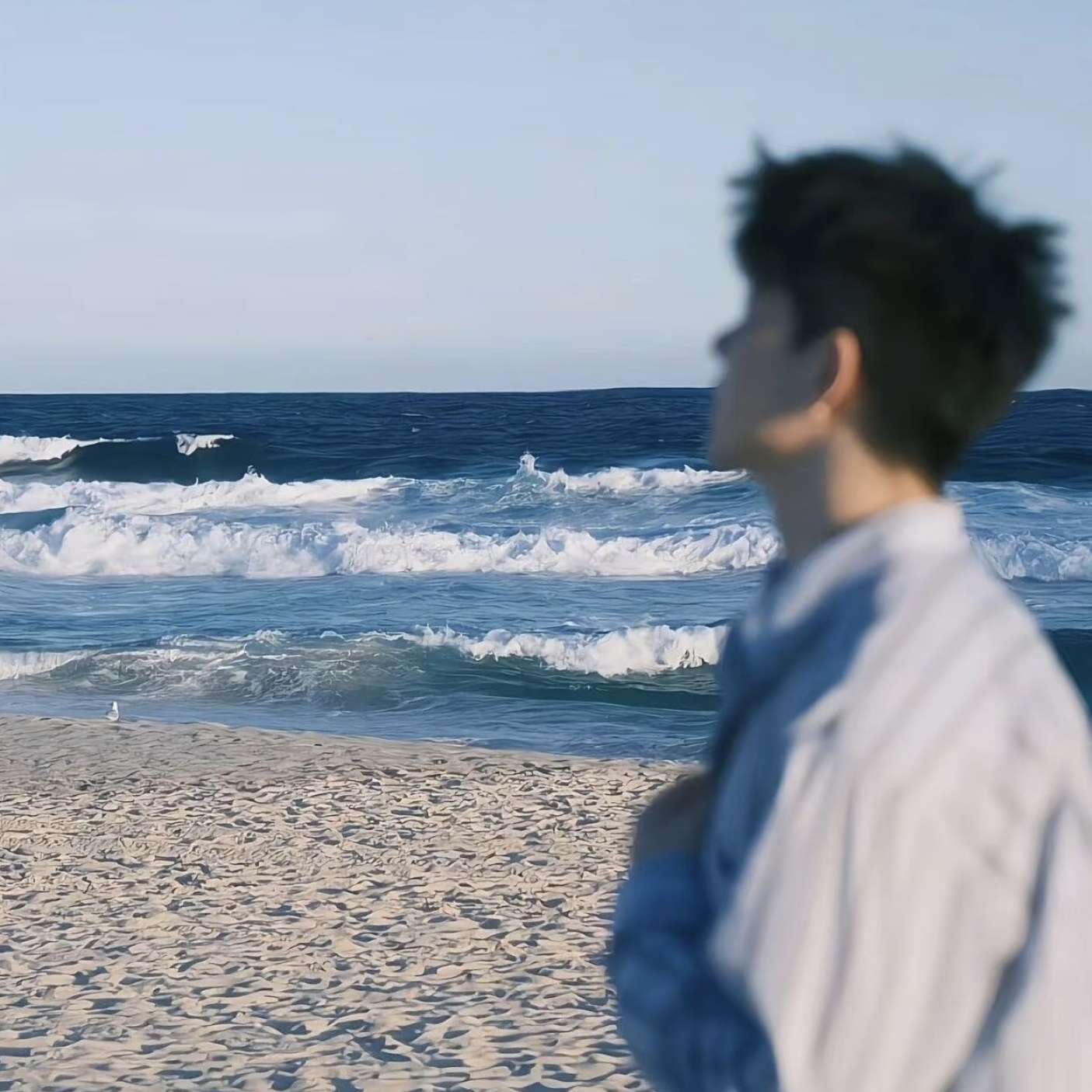 职位发布者头像