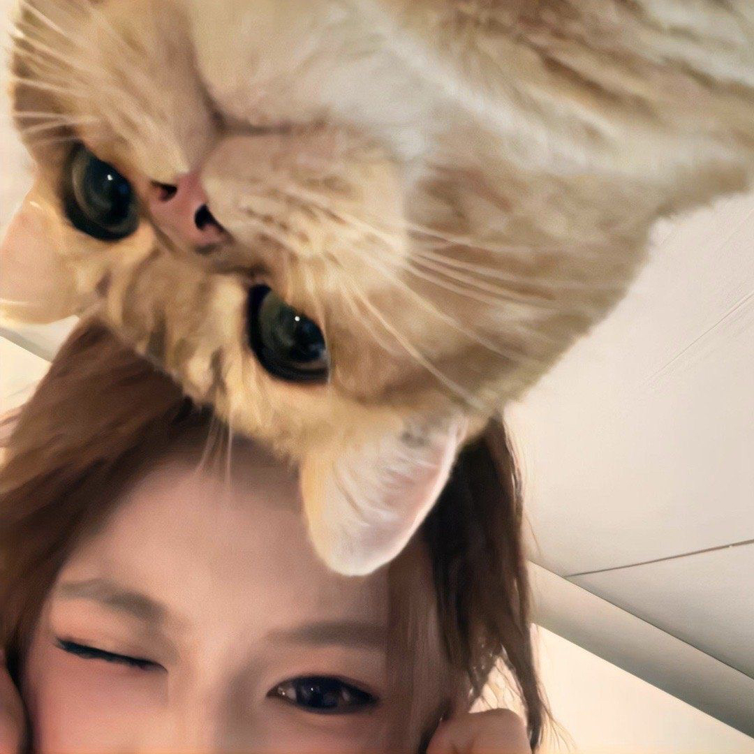 职位发布者头像