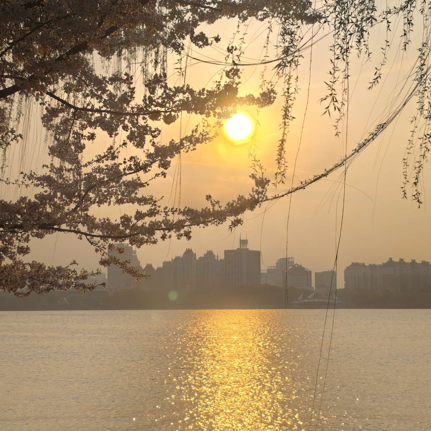 职位发布者头像