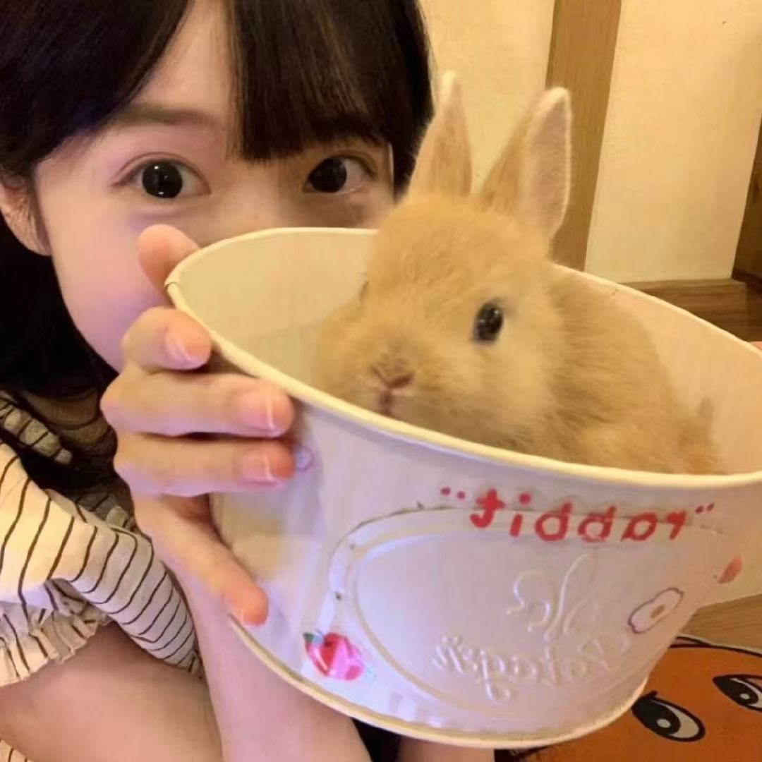 职位发布者头像