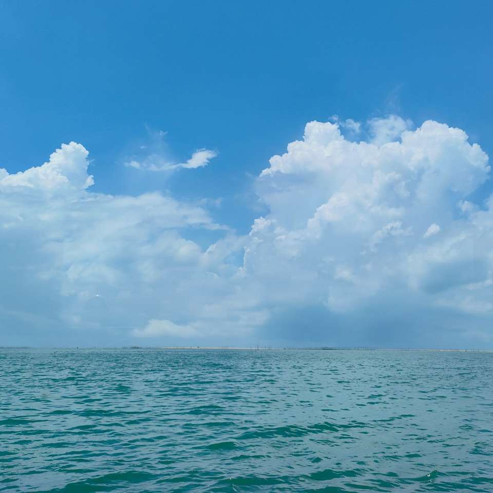 职位发布者头像