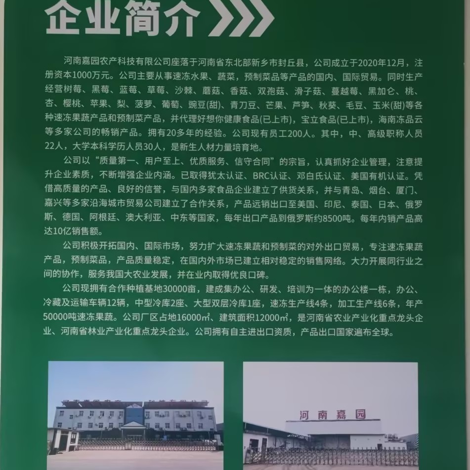 职位发布者头像