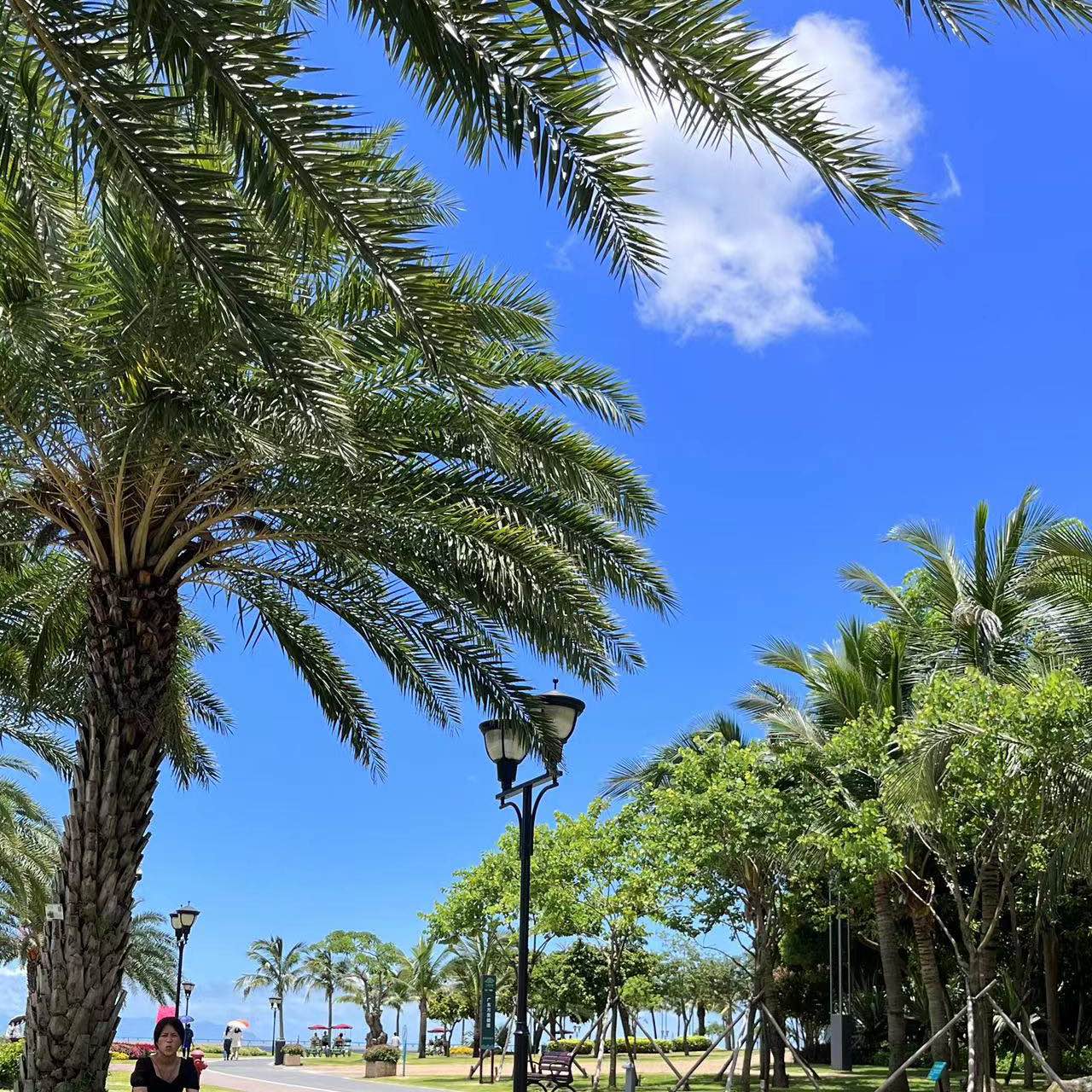 职位发布者头像