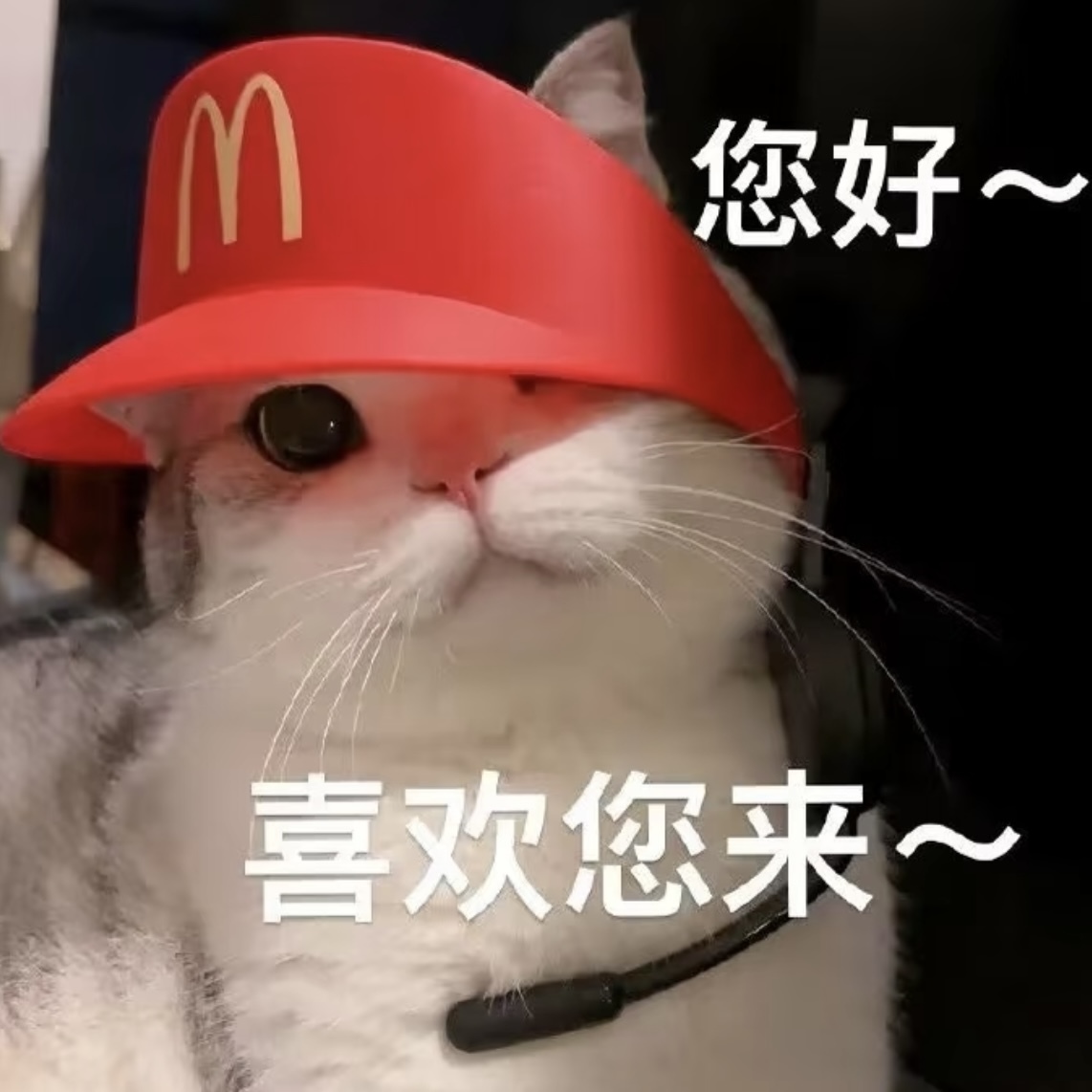 职位发布者头像