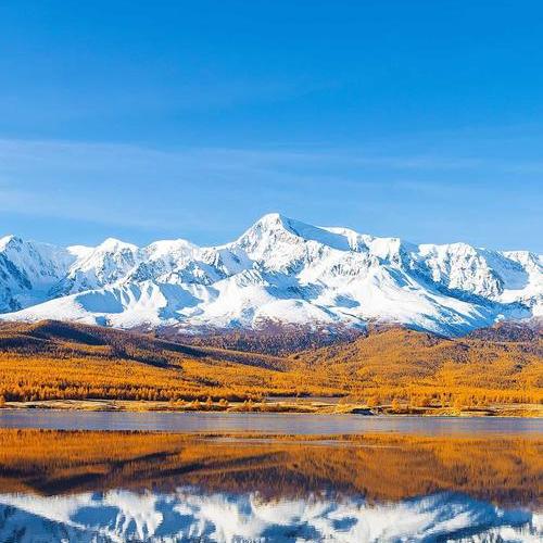 职位发布者头像