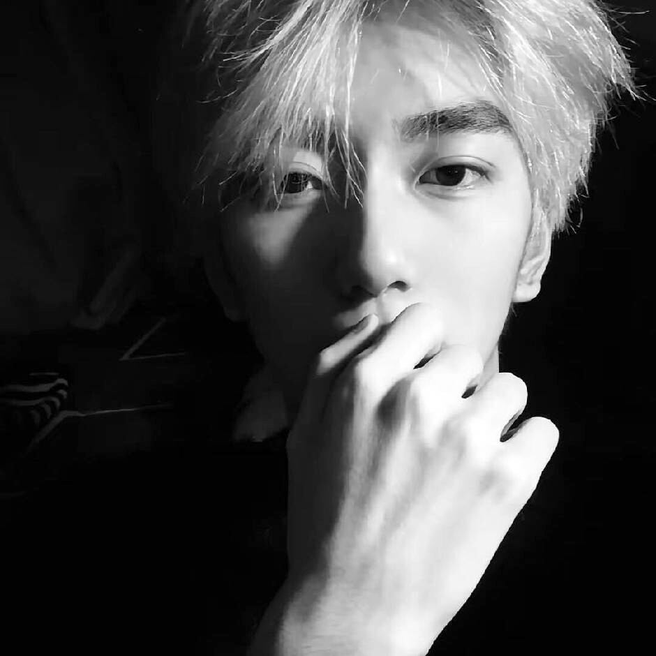 职位发布者头像