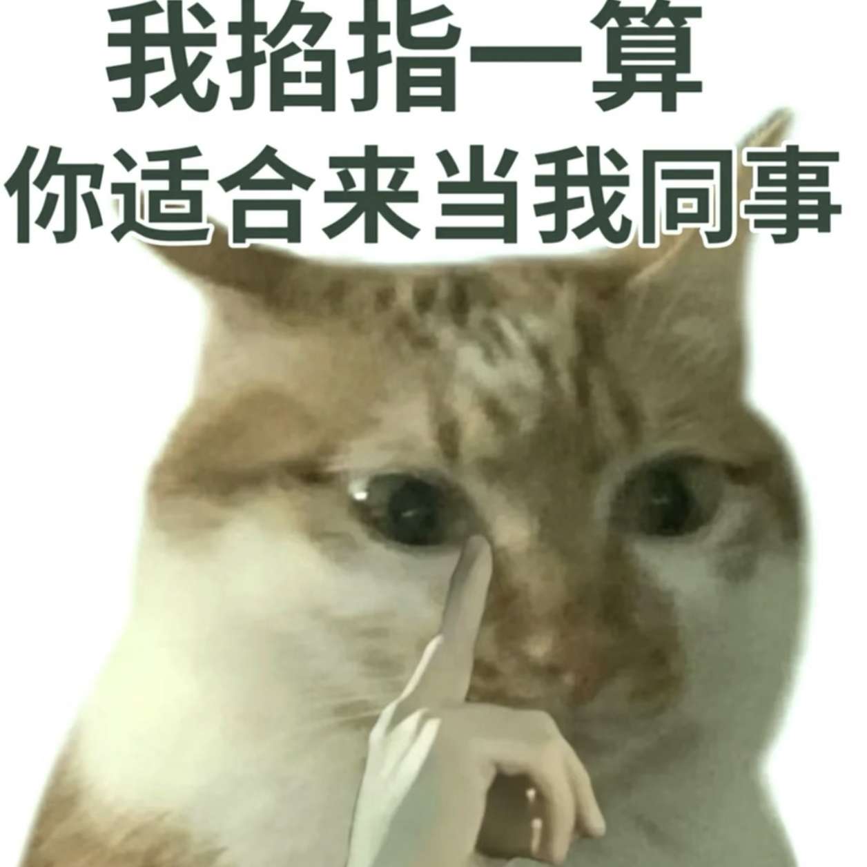 职位发布者头像