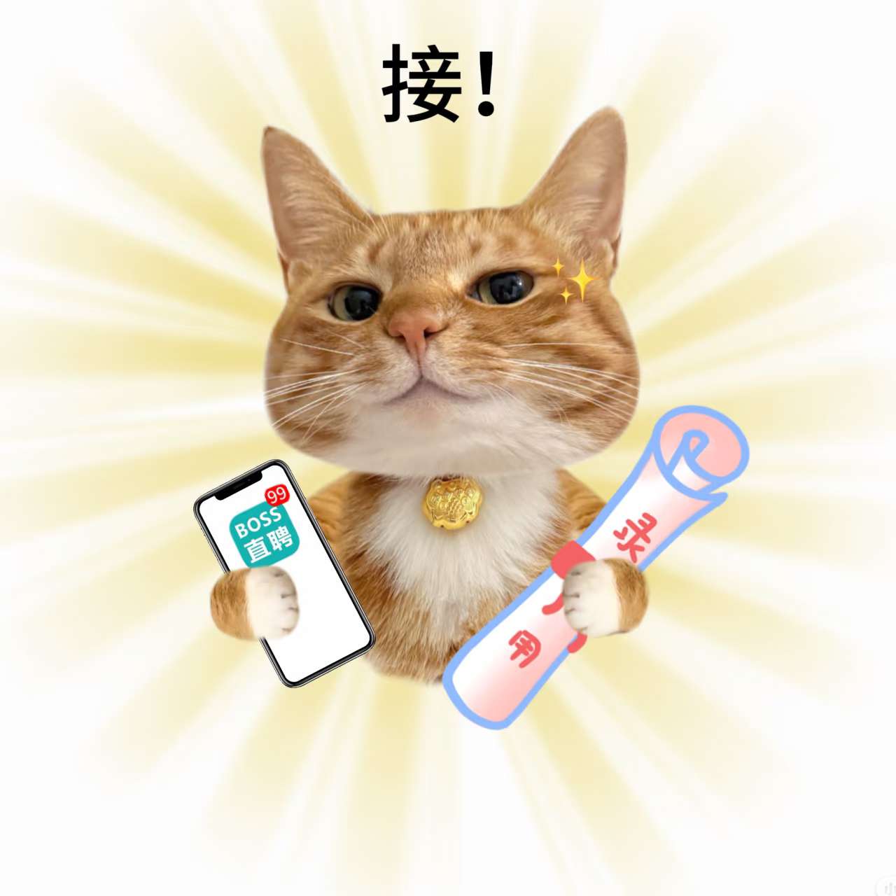 职位发布者头像