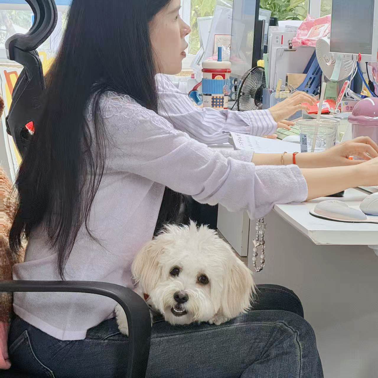 职位发布者头像