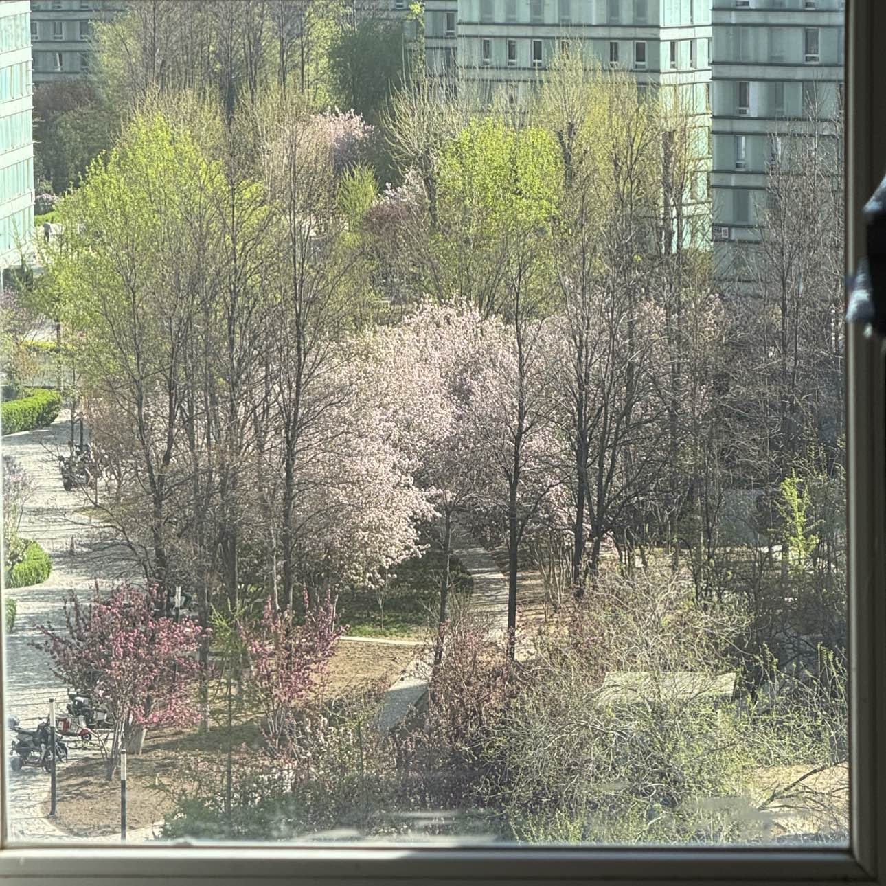 职位发布者头像