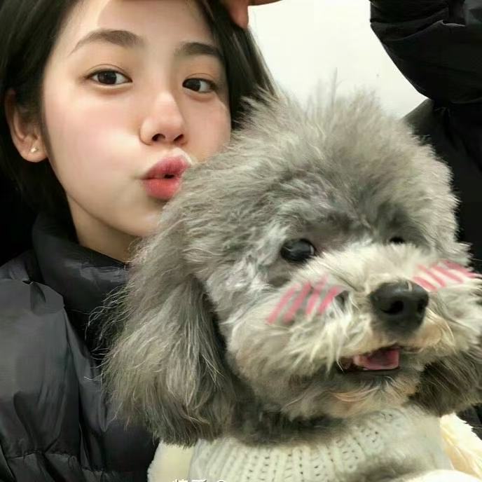 职位发布者头像