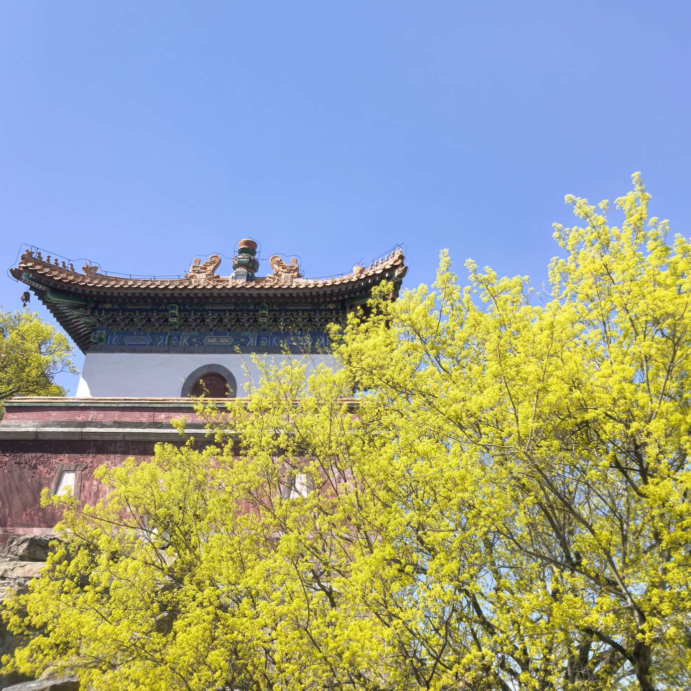 职位发布者头像