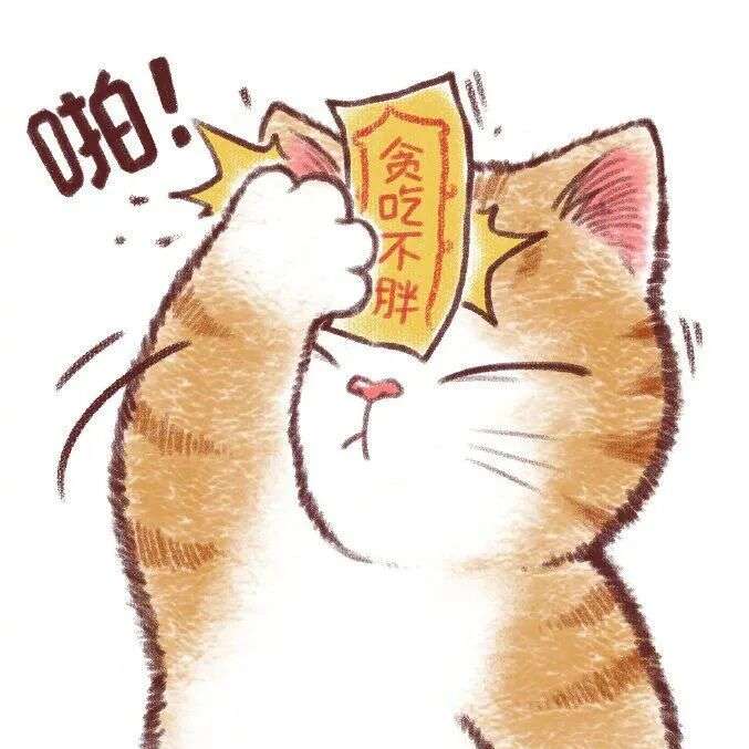 职位发布者头像