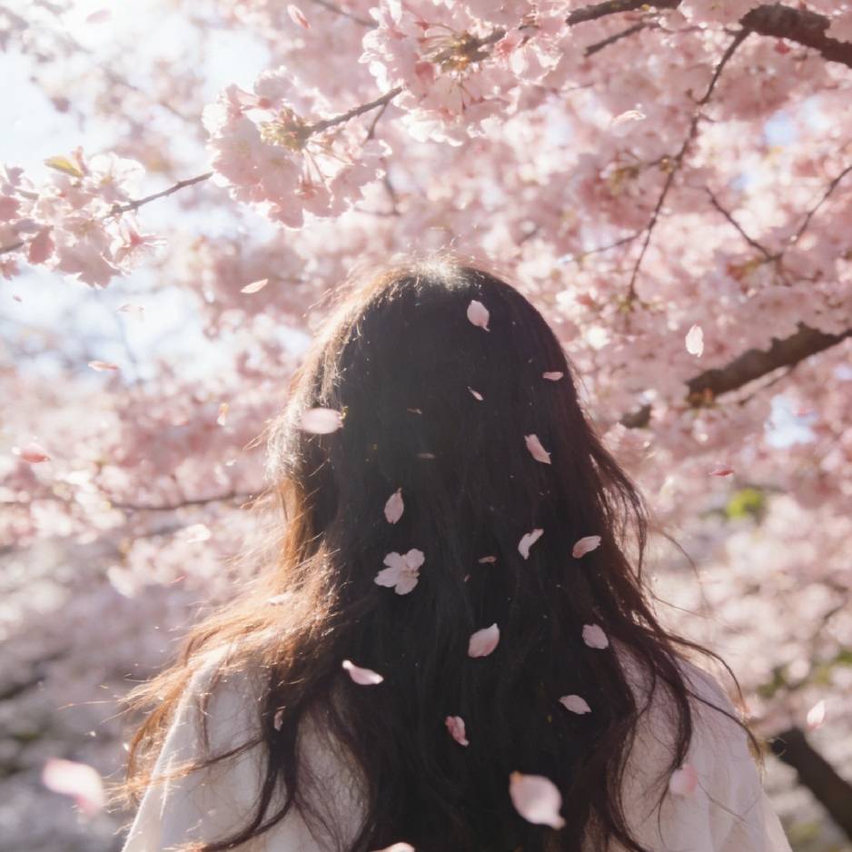 职位发布者头像