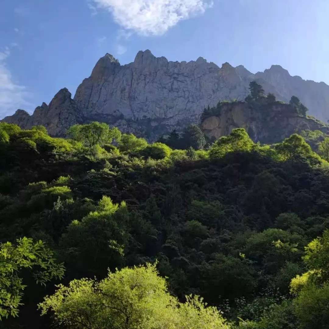 职位发布者头像