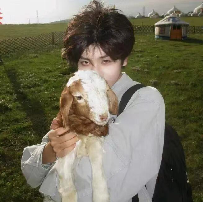 职位发布者头像