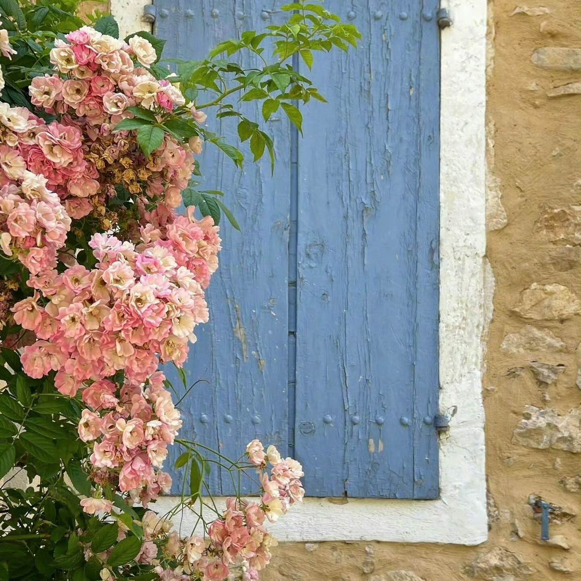 职位发布者头像