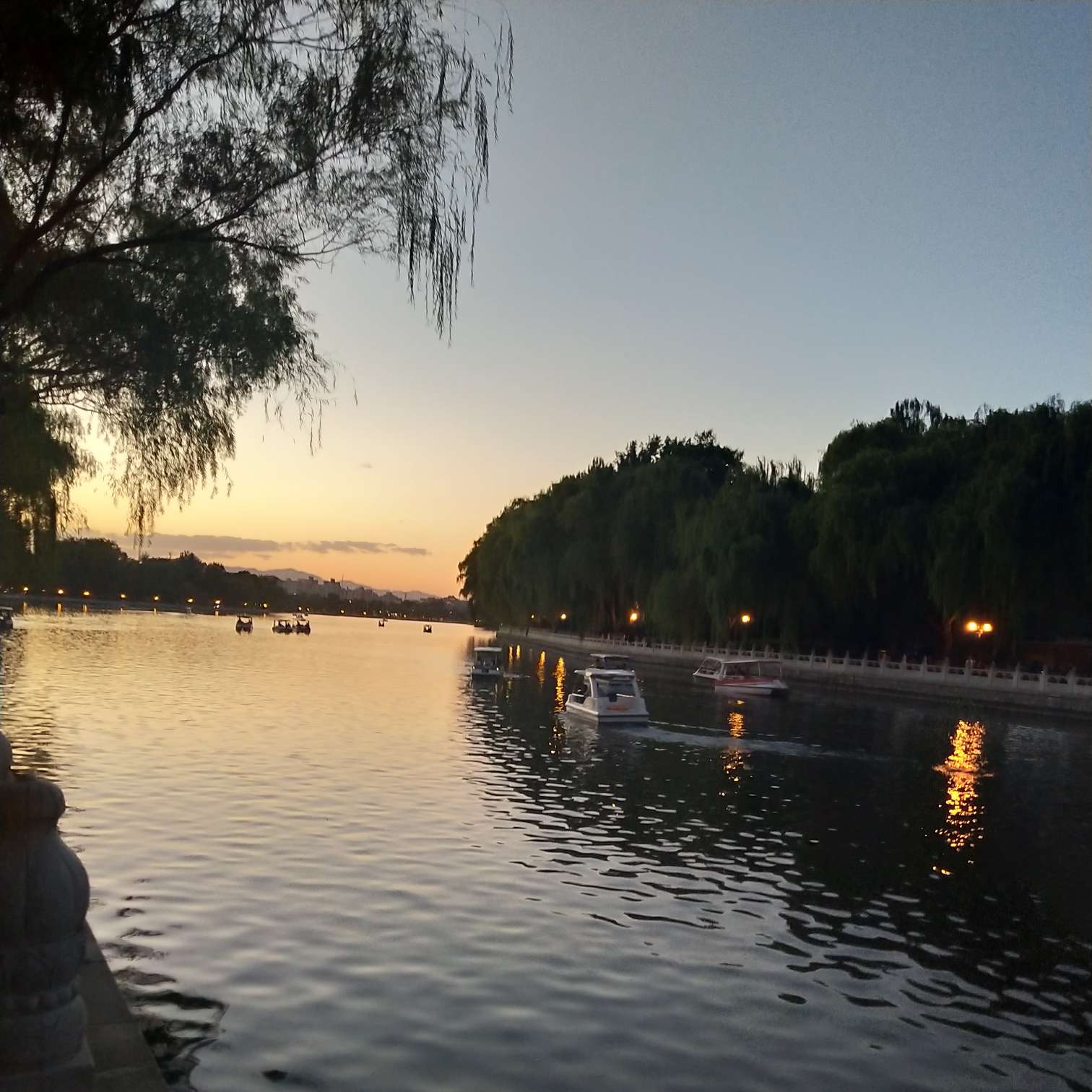 职位发布者头像