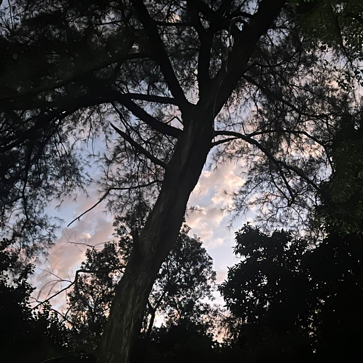 职位发布者头像