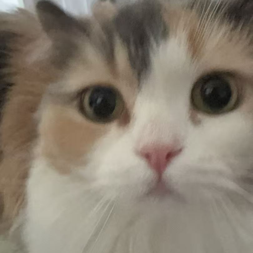 职位发布者头像